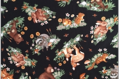 Woodland Tails