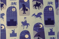 Little Knight