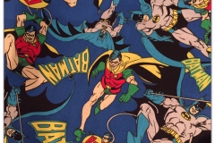 Batman & Robin