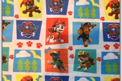 Paw Patrol