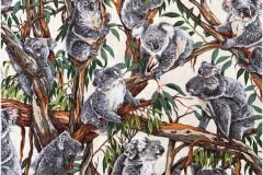 Koalas